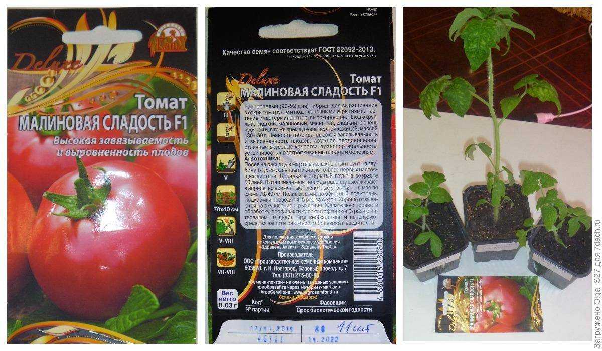 Томат малиновый звон. описание сорта, фото, отзывы