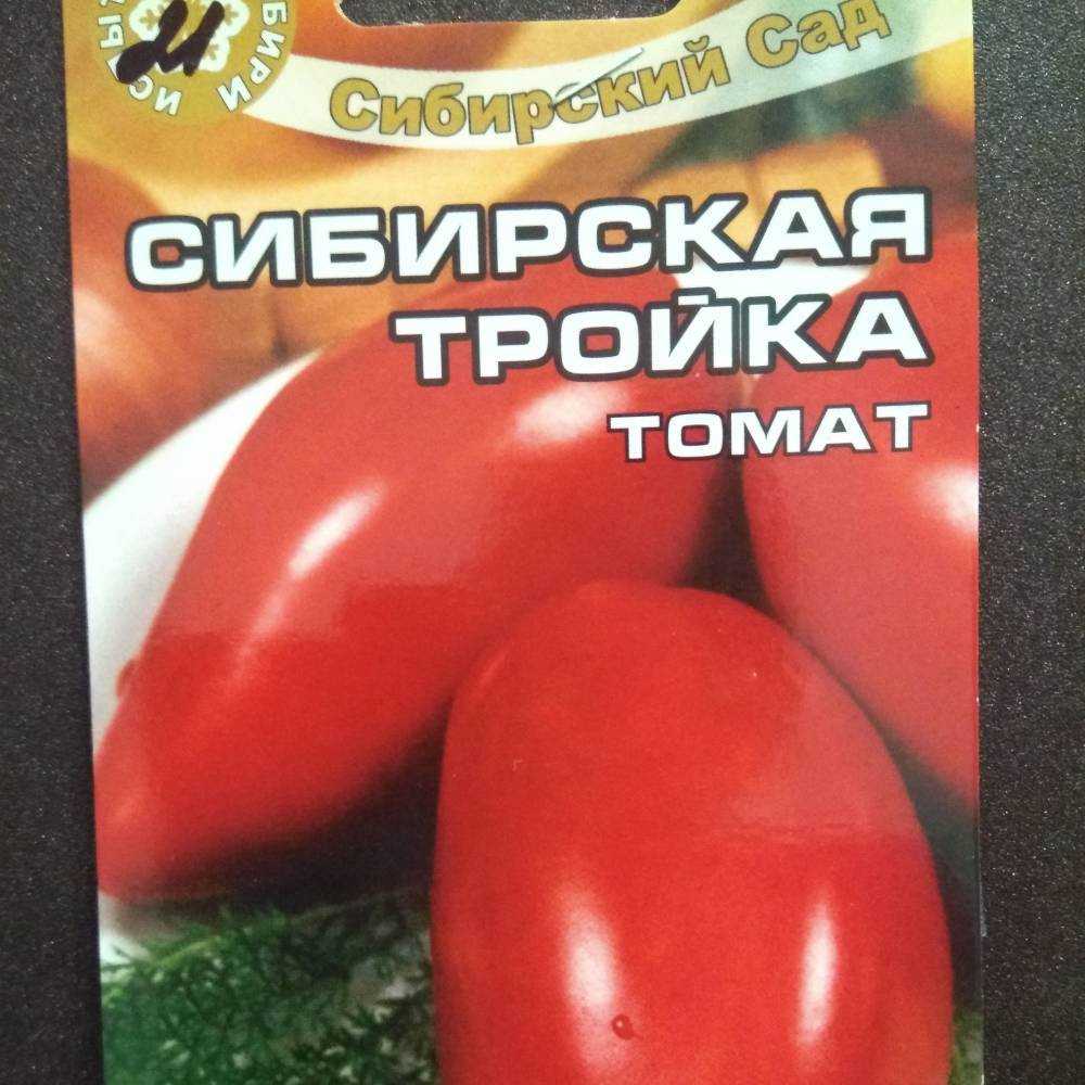 Как вырастить томат сибирская тройка