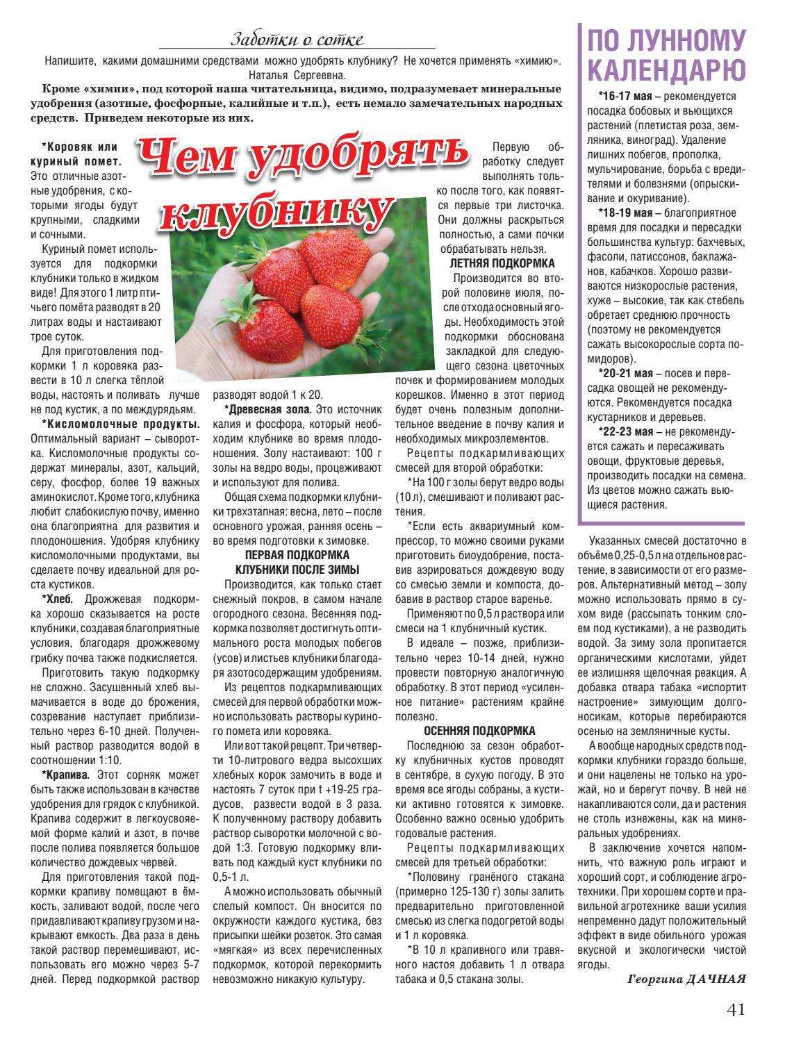 Уход за клубникой весной и летом, подкормки народными средствами