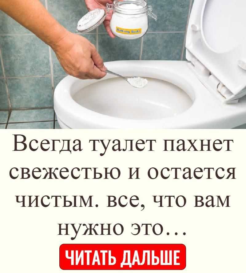 Как избавиться от запаха плесени? влияние сырости на вещи и одежду