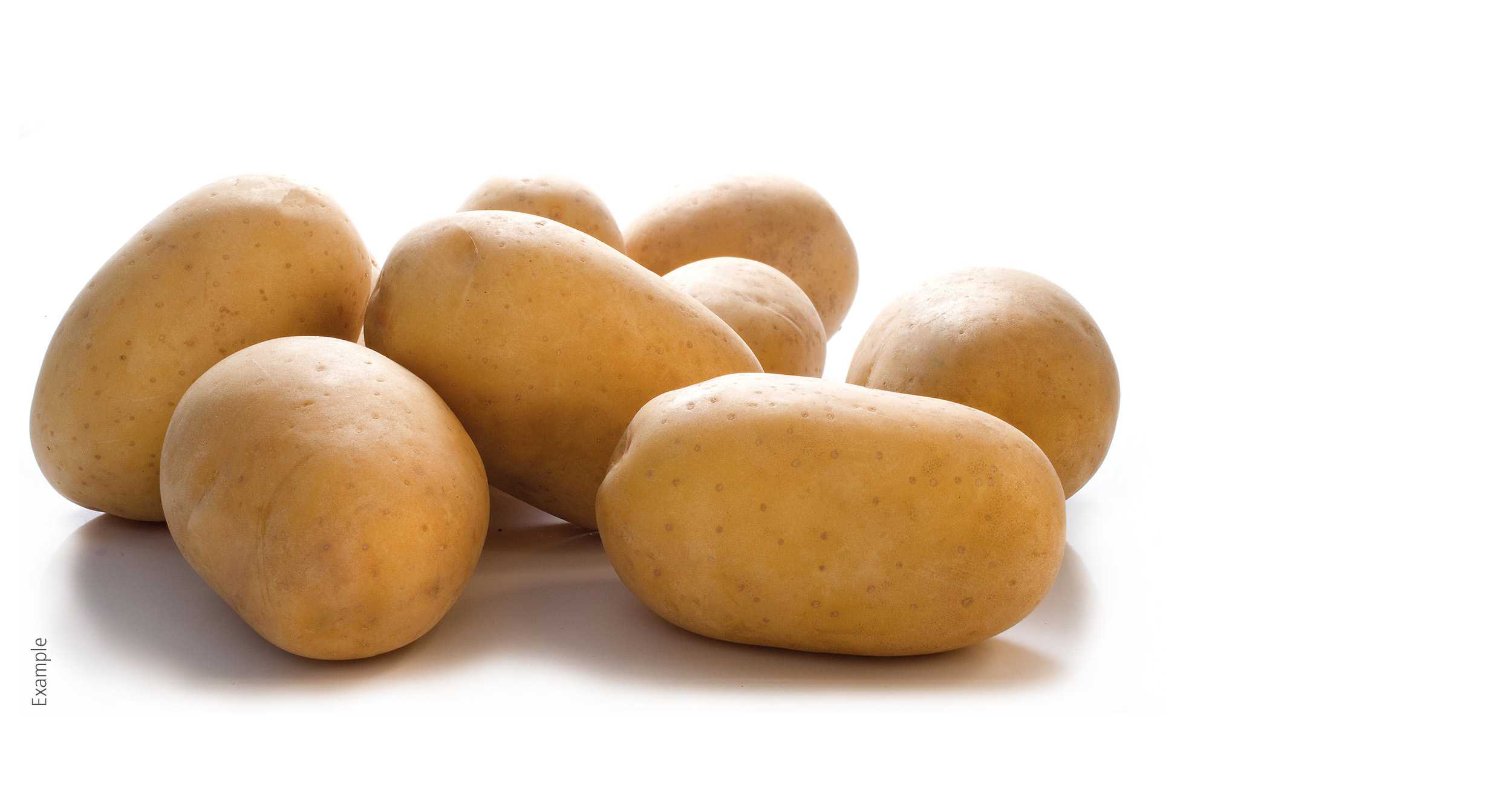 Сорт картофеля бернина характеристика отзывы. Сорт картофеля Бернина. Картофель Бернина ЕВРОПЛАНТ. Сорт картофеля отолия.
