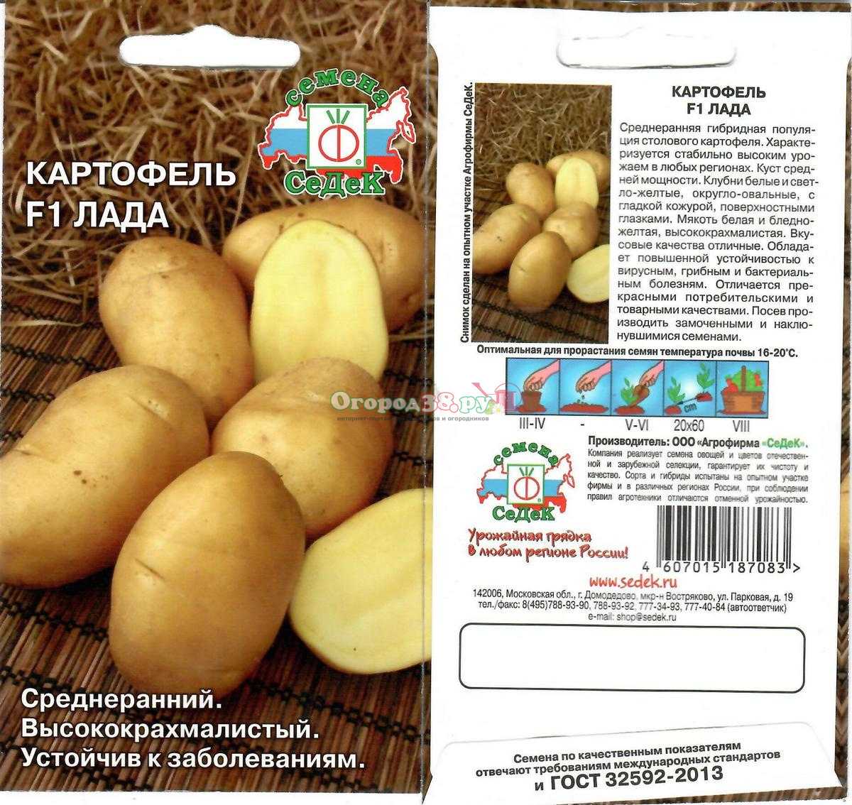 Московский картофель семенной