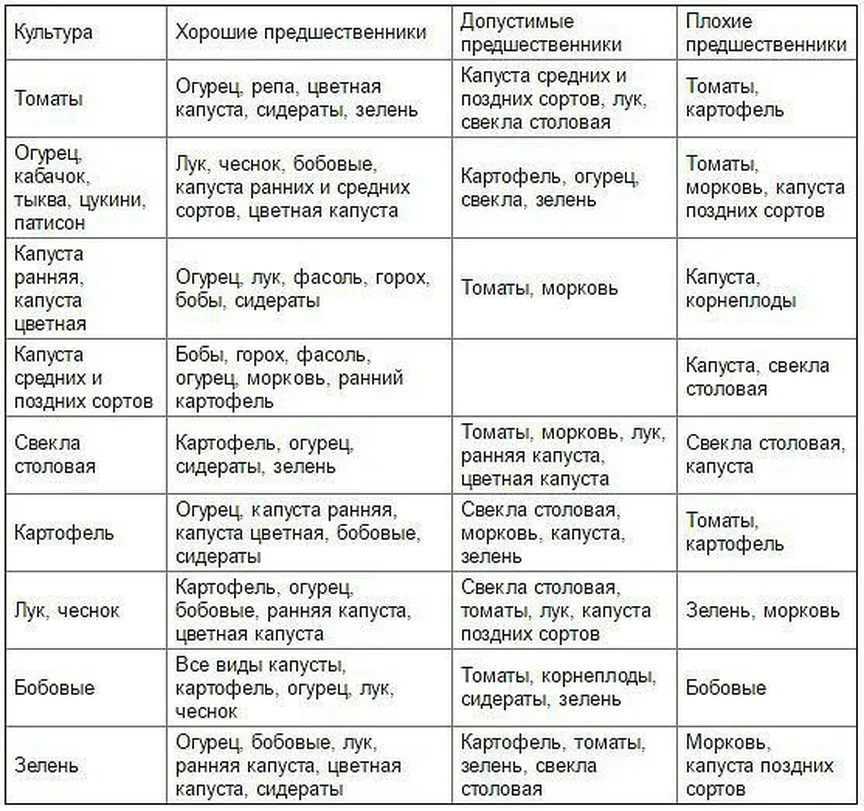 Что нельзя сажать после перца на следующий год, а что можно