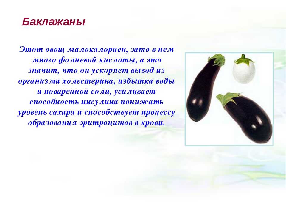 Баклажаны: описание и характеристика 53 популярных и необычных сортов для открытого грунта и теплицы (фото & видео) +отзывы