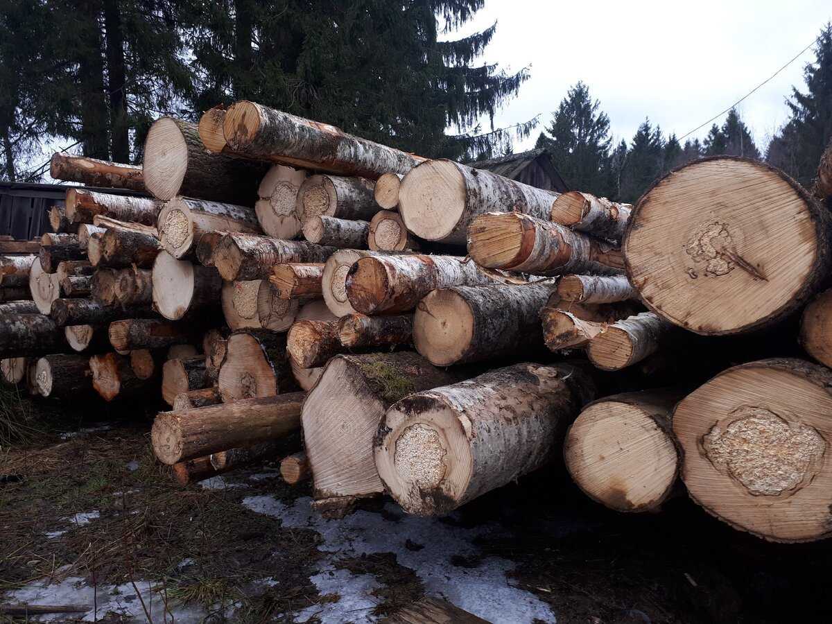Как правильно и законно заготовить дрова для отопления дачи в зимнее время