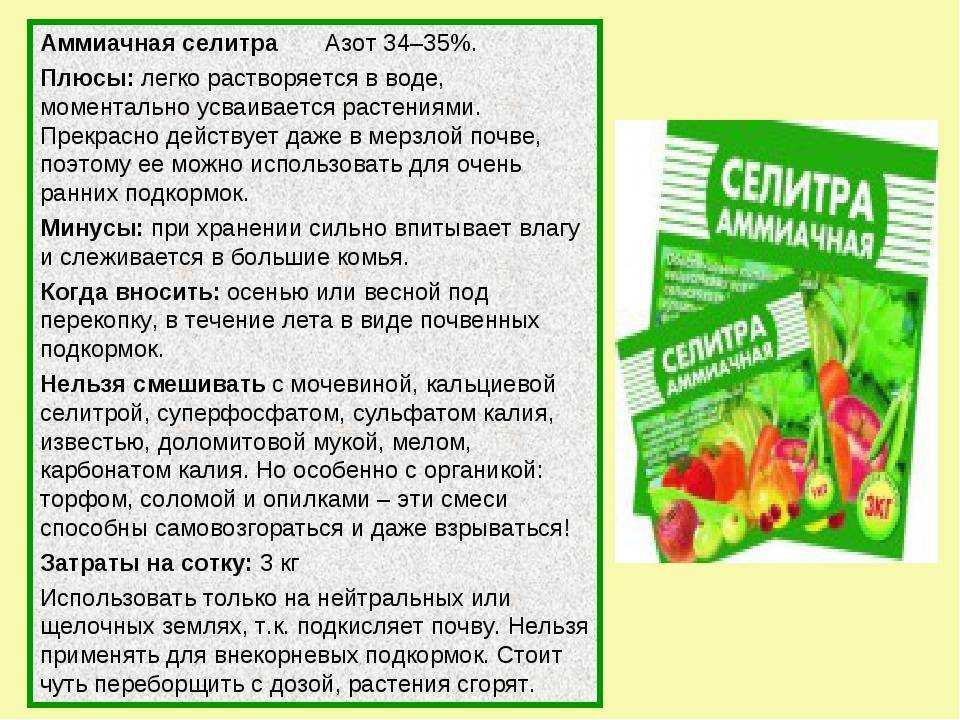 Кальциевая селитра: инструкция по применению удобрения на огороде, свойства