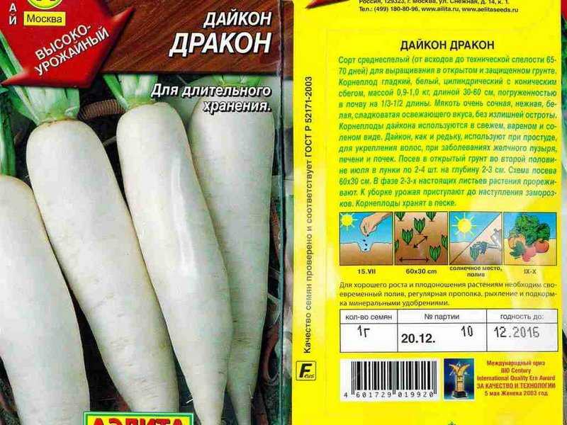 Выращивание дайкона: сорта, сроки посадки, агротехника, сбор урожая