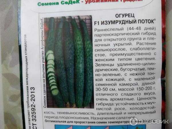 Особенности выращивания сорта огурцов китайское чудо