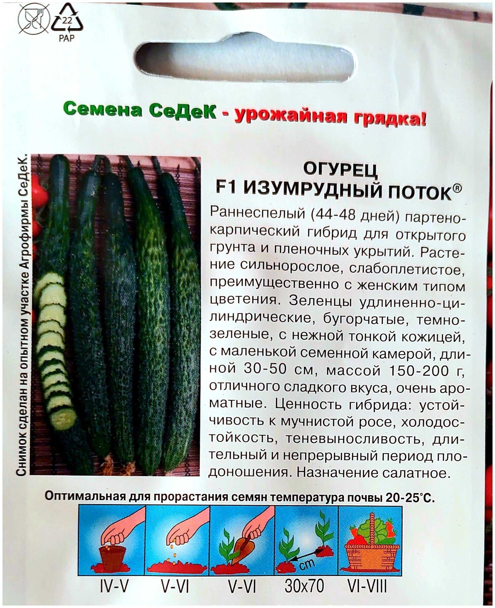 Огурцы изумрудный поток: описание сорта, урожайность и выращивание, отзывы с фото