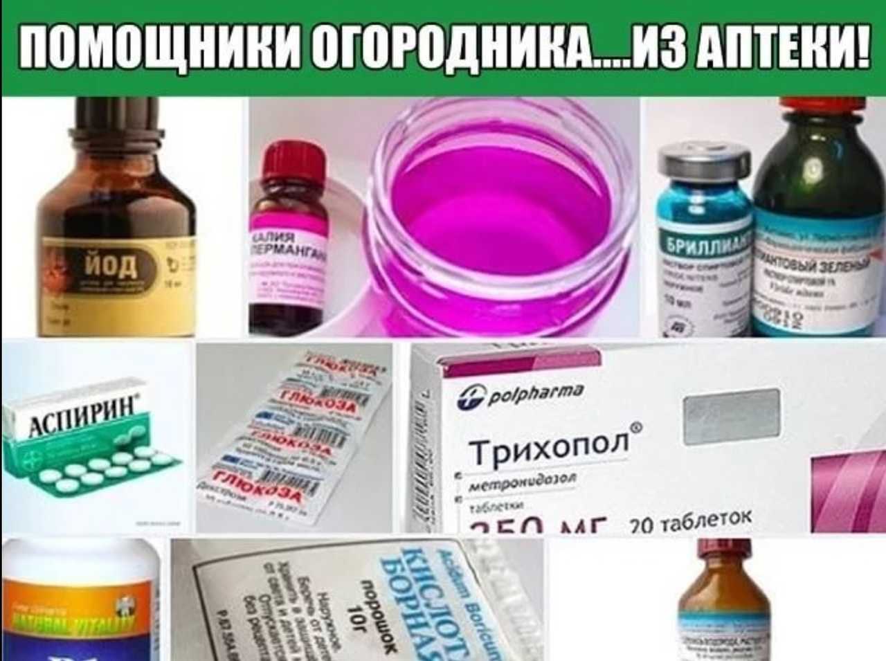 Зожник |   почему “зелёнкой” пользуются только в россии и снг