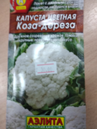 Цветная капуста коза-дереза - описание сорта, отзывы