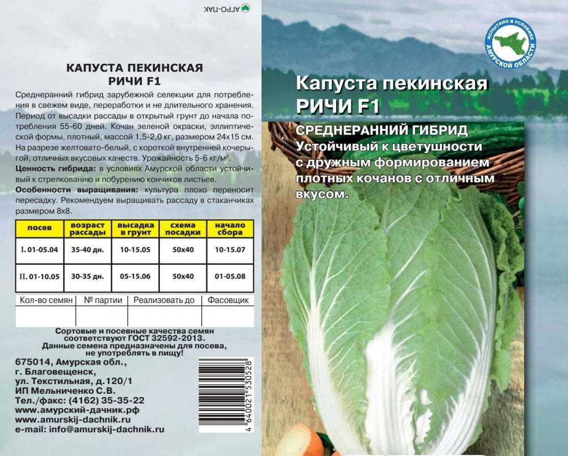 Рассада капусты – когда сажать и как вырастить в домашних условиях
