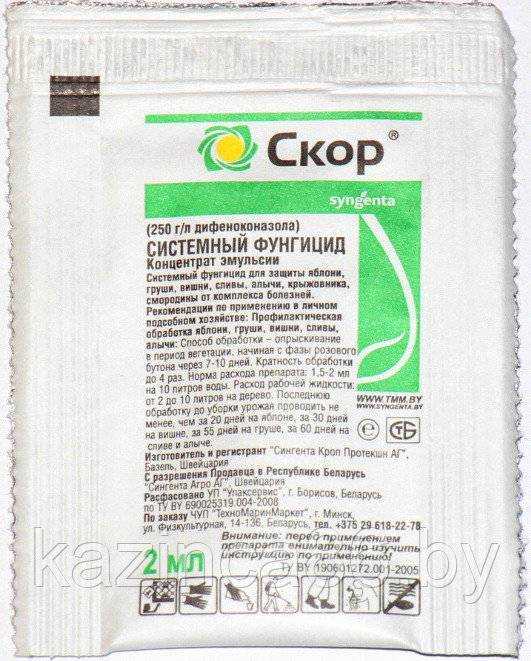 Фунгицид скор - мой агро - помощник в сельскохозяйственном мире