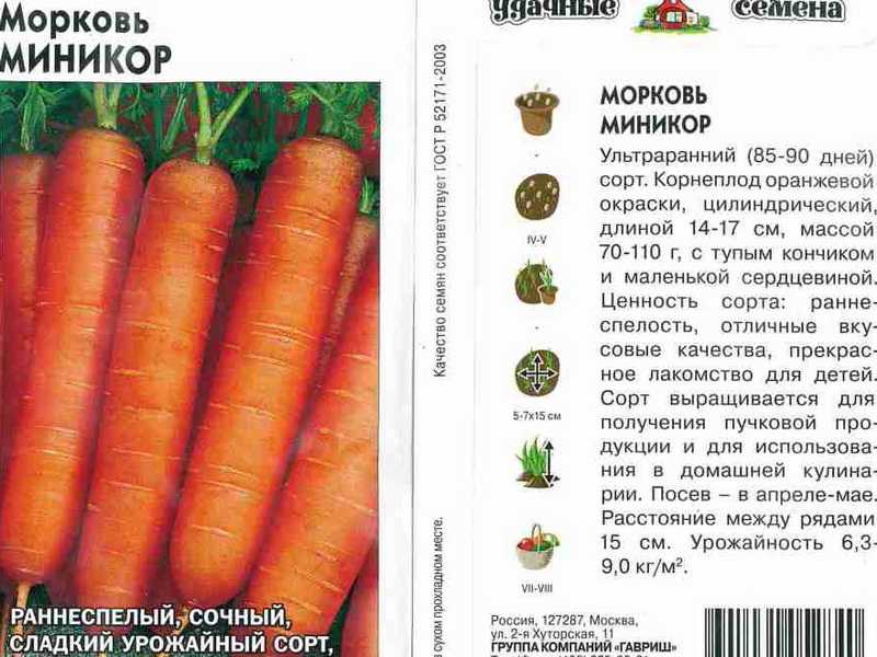 Сорта моркови: классификация, описание сортов