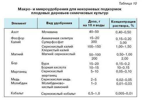 Чем подкармливать кустарники и деревья весной, чтобы получить большой урожай