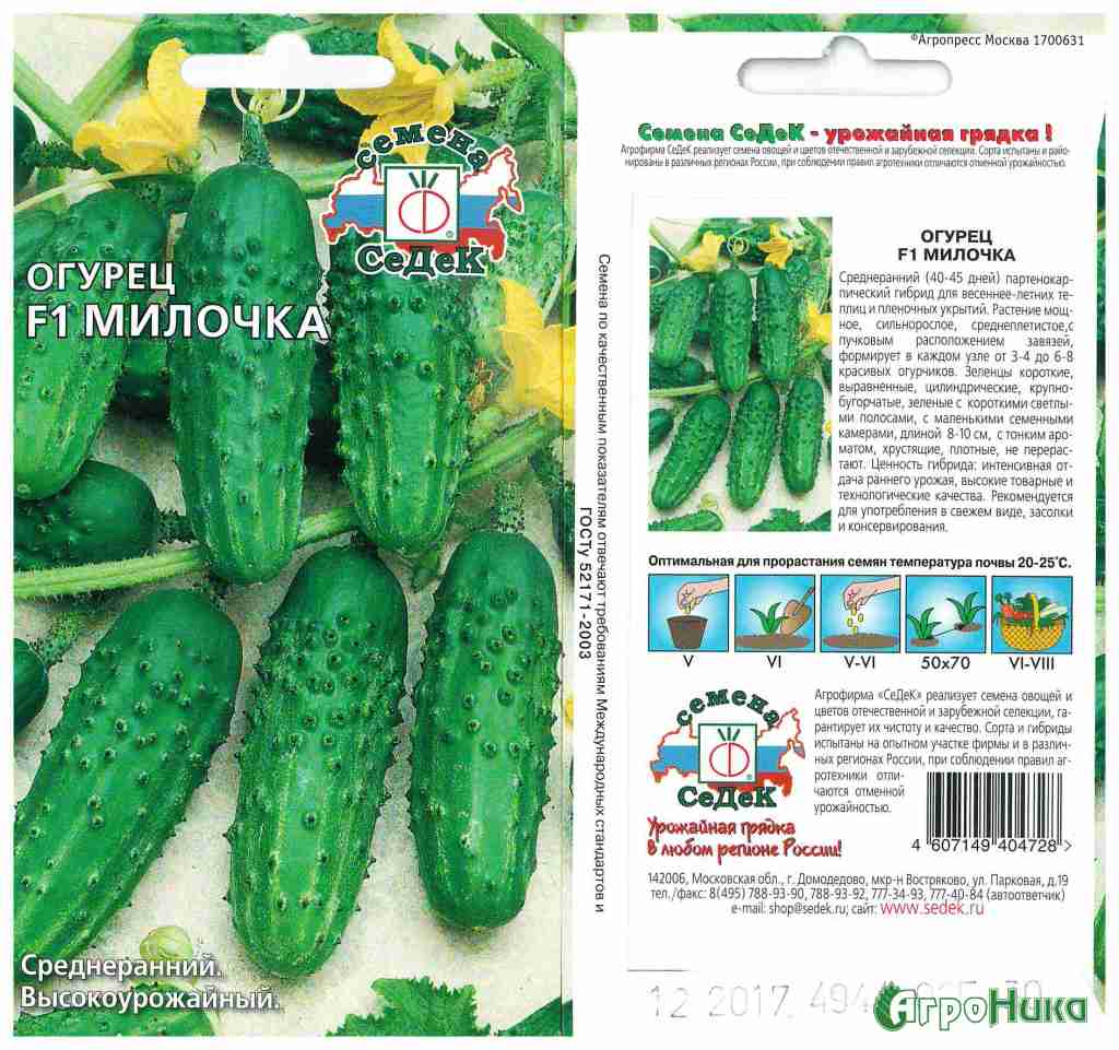 Лучшие сорта огурцов для открытого грунта — самоопыляемые огурцы для засолки