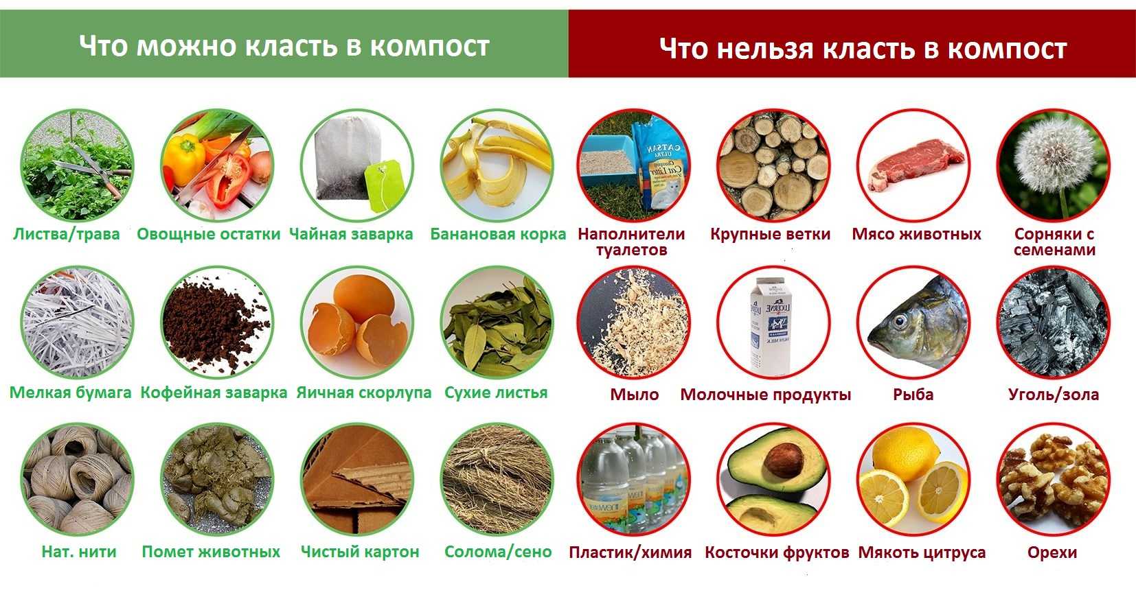 Что нельзя класть в компостную кучу