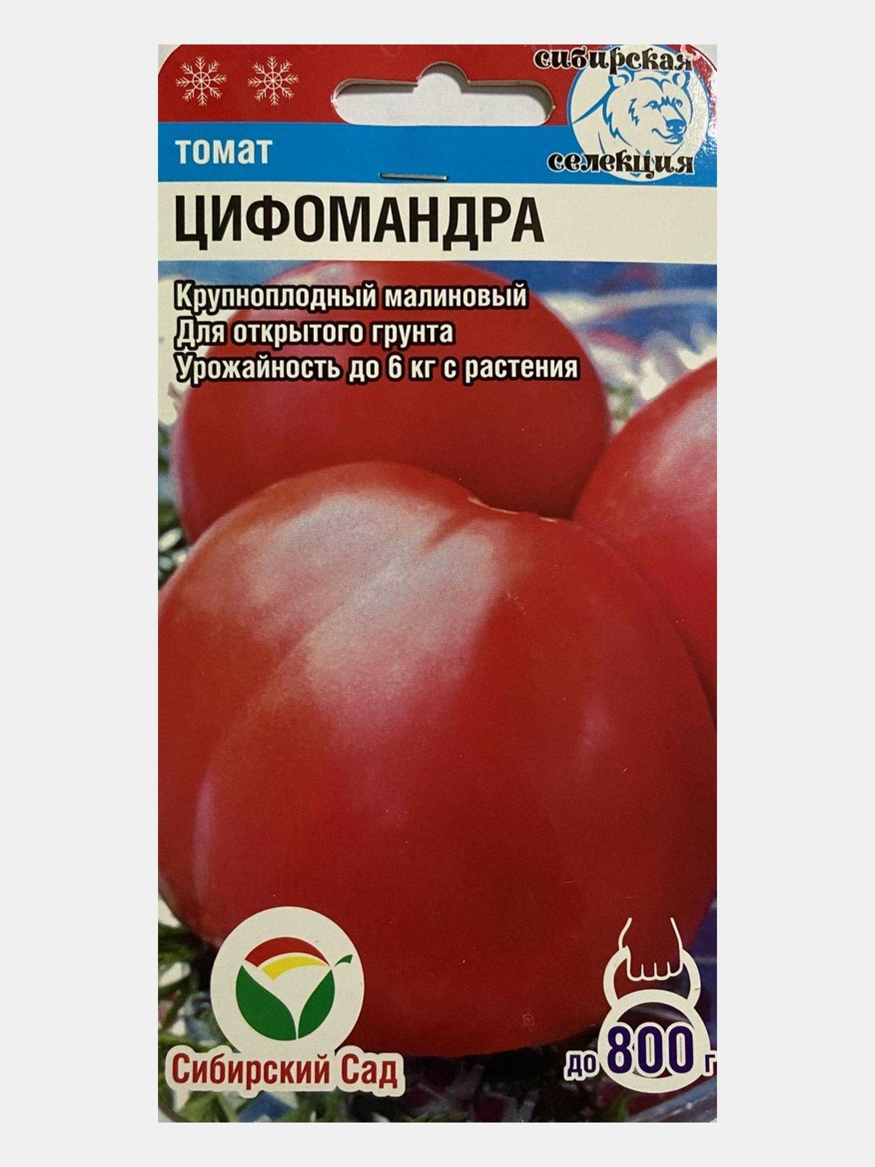 ✅ томатное дерево: выращивание в открытом грунте и в теплицах - сад62.рф