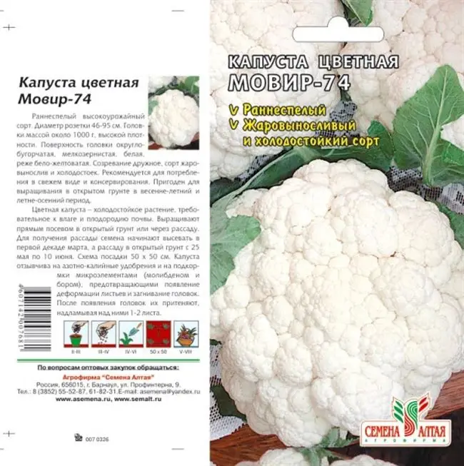 Капуста: виды, описание 33 лучших сортов | (фото) +отзывы