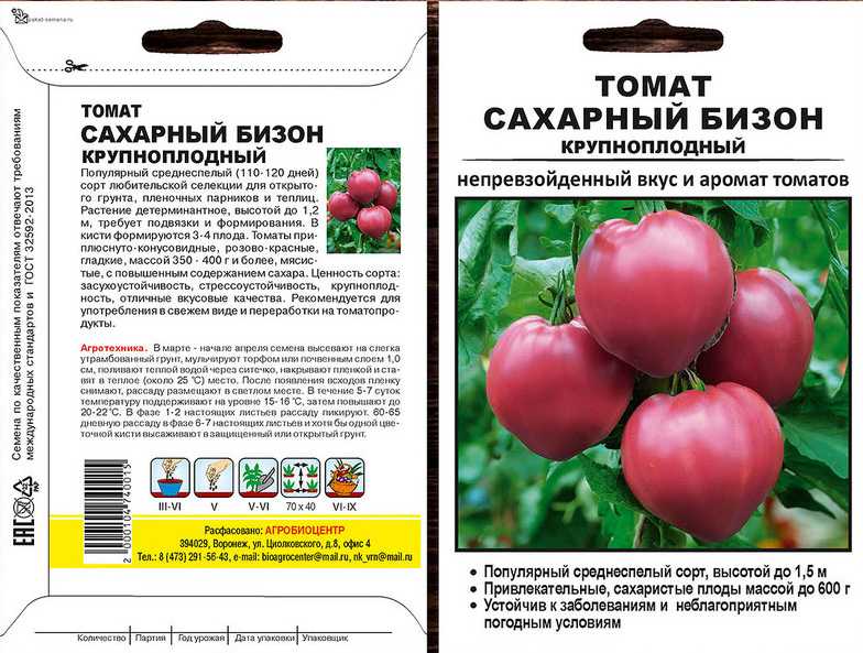 Томат сахарный бизон: особенности выращивания