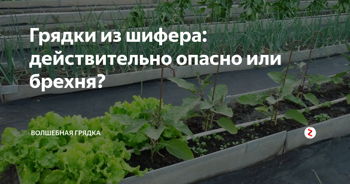 Цветной шифер и другие виды шиферного листа: металлический, безасбестовый, алюминиевый, римская черепица, железный
