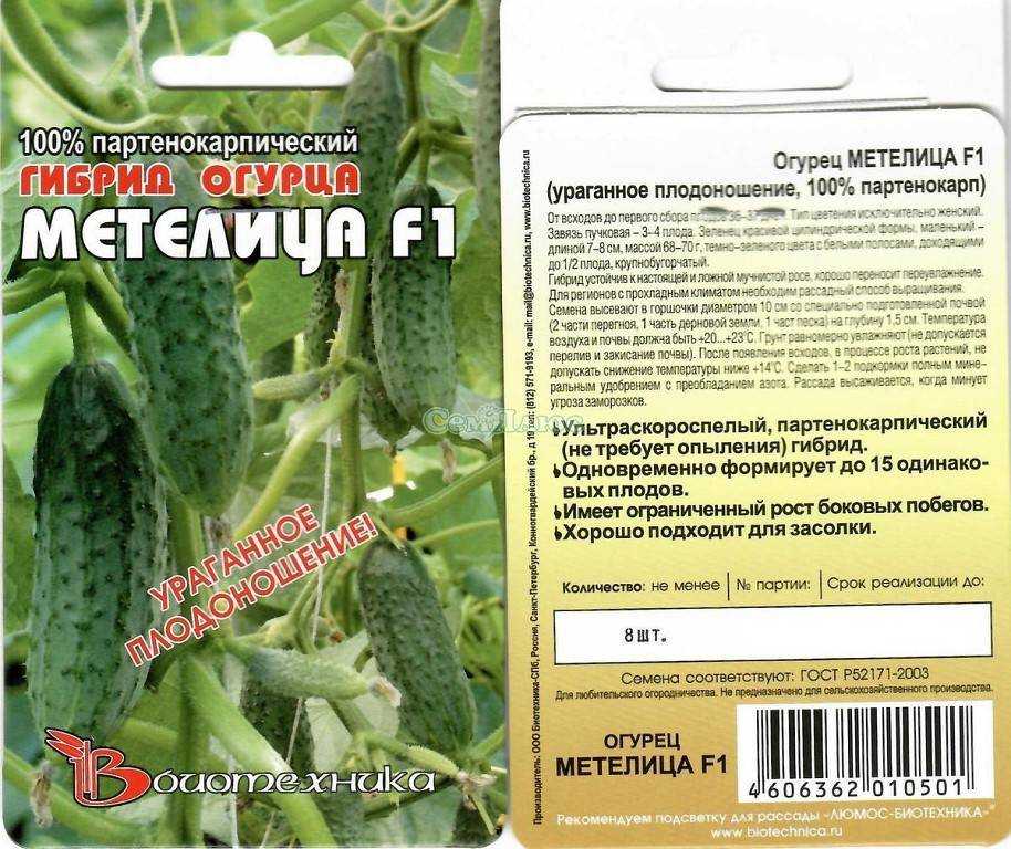 Огурец гуннар: характеристика и описание сорта, особенности выращивания с фото