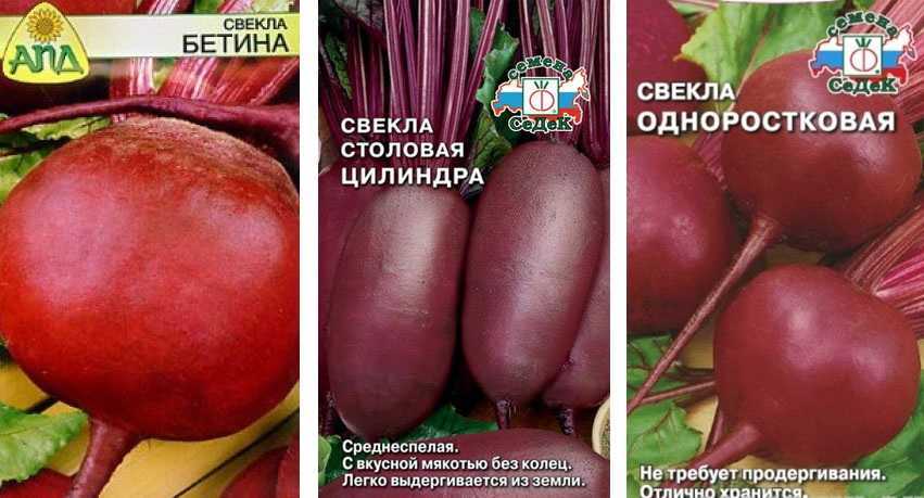 Лучшие сорта свеклы: семена для выращивания в открытом грунте в подмосковье, сибири, средней полосе россии, самые сладкие виды без светлых колец для зимнего хранения