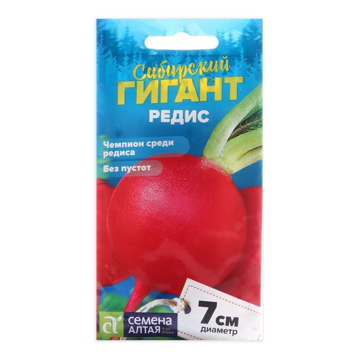Сибирский великан с превосходным вкусом