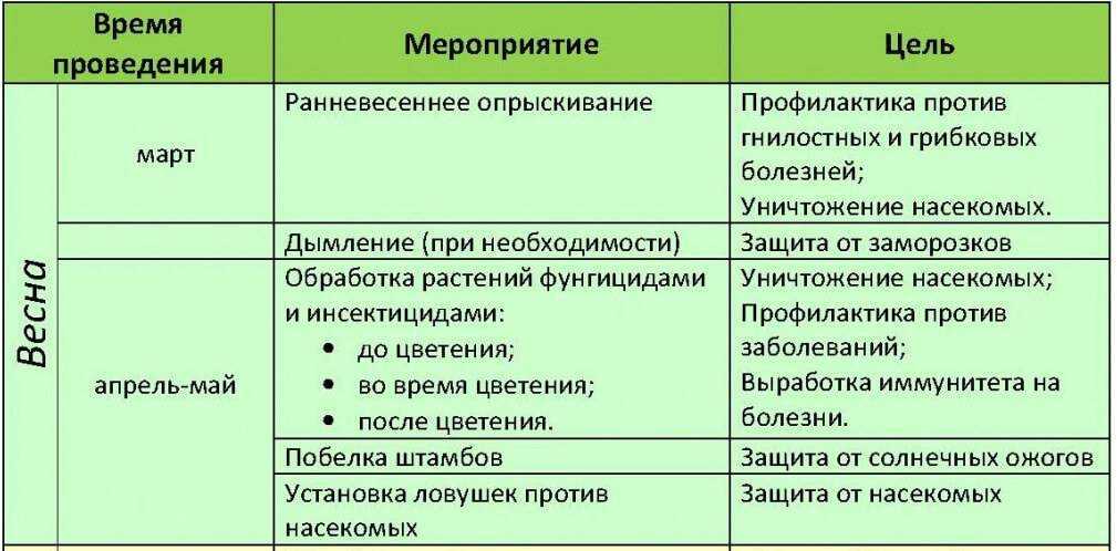 Черный рак яблони, лечение и профилактика заболевания